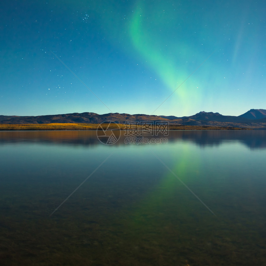 加拿大育空地区Laberge湖上空月光之夜的北极光Aurorano图片