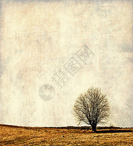 复古风景插图的树图片