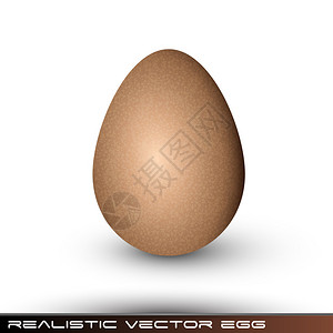 逼真的棕色矢量蛋背景图片