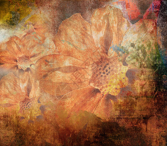 Grunge花卉背景图片
