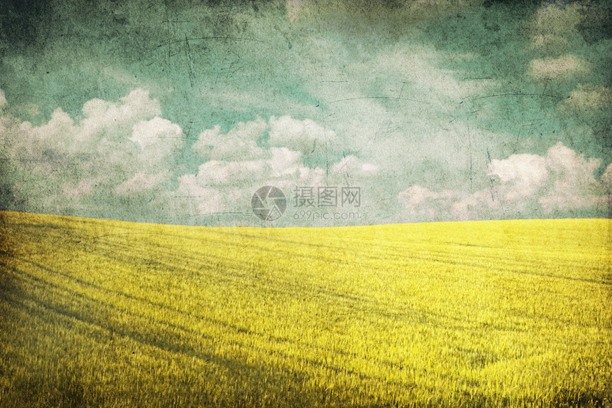 黄色字段和蓝天空的Grung图片