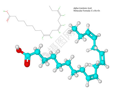 维生素f欧米茄3亚麻酸分子脂肪酸具有许多健康益处插画