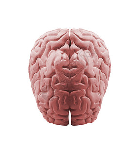 人脑背景图片