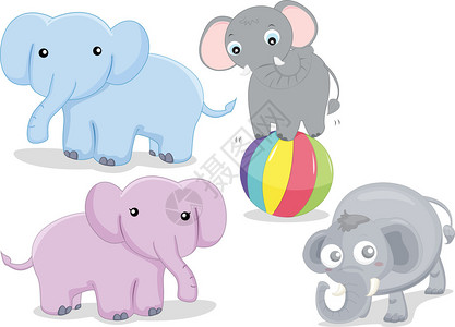 各种大象表演技巧的插图图片