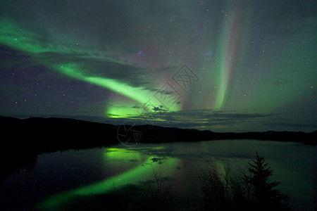 白马藏族乡夜天星云和北极光在加拿大育空地区湖岸的乡插画
