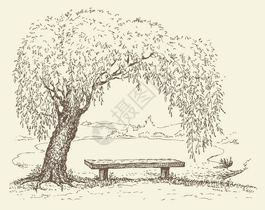 矢量图湖边柳树下旧木凳村形景观素描图片