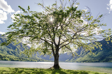 希里安湖斯洛文尼亚Bohin插画