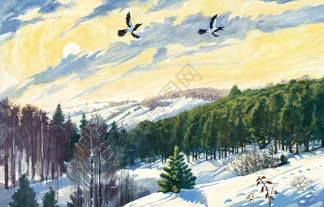 冬天的风景阳光明媚两只飞鸟图片
