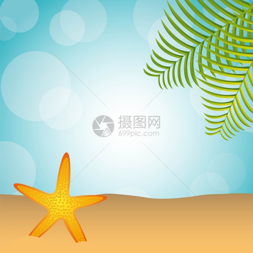 沙滩上有棕榈和海星在沙上飘图片