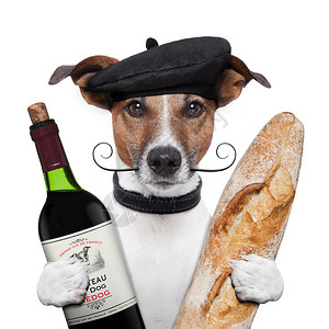 法国养狗葡萄酒图片