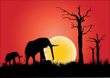 傍晚月光下的大象图片