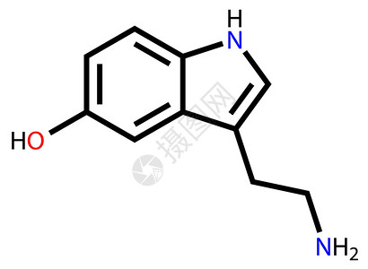 白色背景下血清素的结构式图片