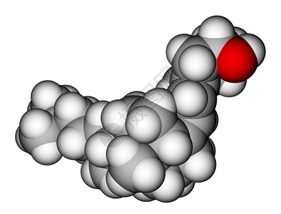 维生素D3分子模型图片