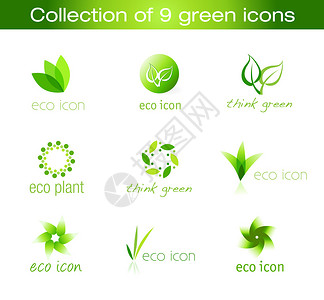 递归脐橙9个生态图标它们可以用与生态环境或有机产品有关的图插画