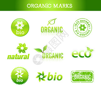 与生态环境和有机产品有关的图标和徽章单图片