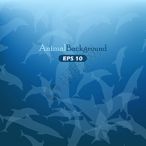 动物背景与蓝色海豚图片