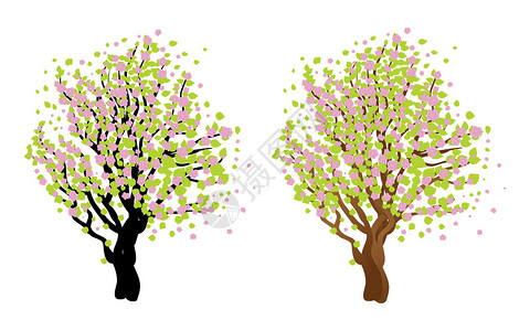 日本樱花的插图与开花樱花树图片