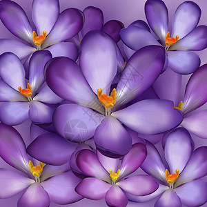 紫罗花无缝模式高清图片