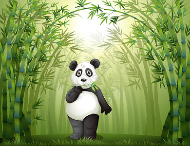 竹林中一只熊猫的插图图片