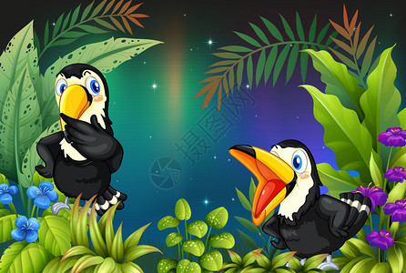 两只鸟在雨林中的插图图片