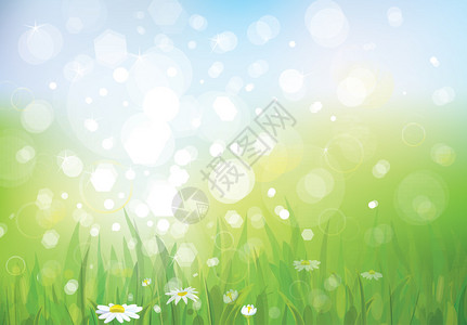 春天背景的向量与白色雏菊图片
