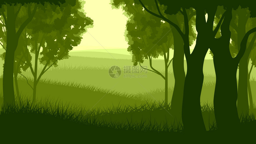 以绿调说明森林边缘有草和地的林木中的图片