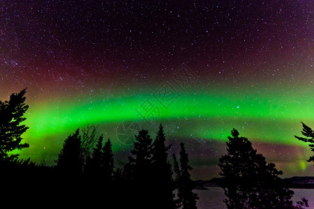北极光或北极光或极光在夜空中的绿色发光显示图片