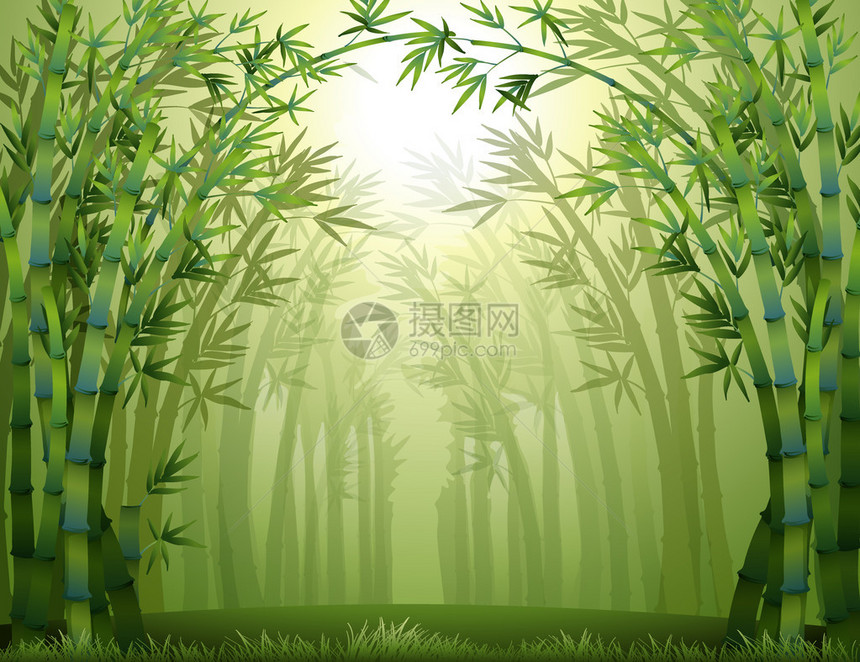 绿竹林的插图图片