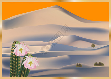 沙漠中仙人掌的插图背景图片