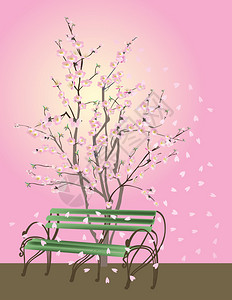 插图与白樱花和长凳背景图片