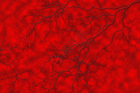 蜘蛛血管在像表面一样的血管上分流插画