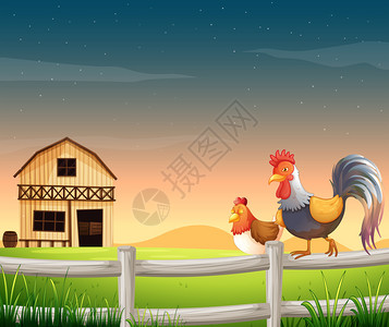 平开门谷仓附近的一只公鸡和一只鸡的插图插画