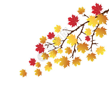 秋天的矢量树枝与树叶图片