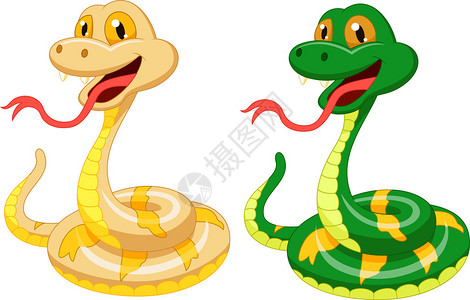 两条可爱的蛇卡通的矢量图解背景图片
