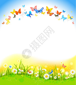 夏季背景与蝴蝶和鲜花图片