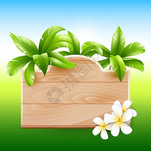 热带设计棕榈和图片