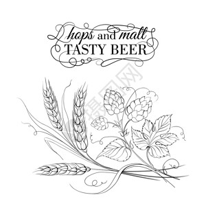 麦芽酒啤酒酒花金色的小麦和棕褐色的跳跃矢量插图插画