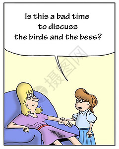 鸟和蜜蜂图片