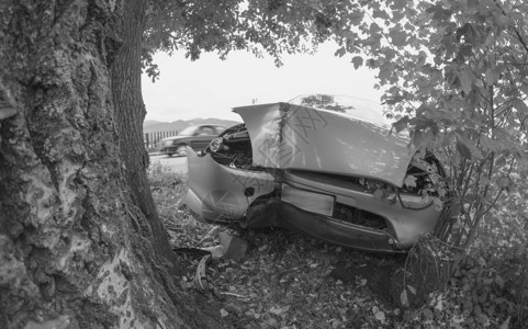 交通事故汽车撞树图片