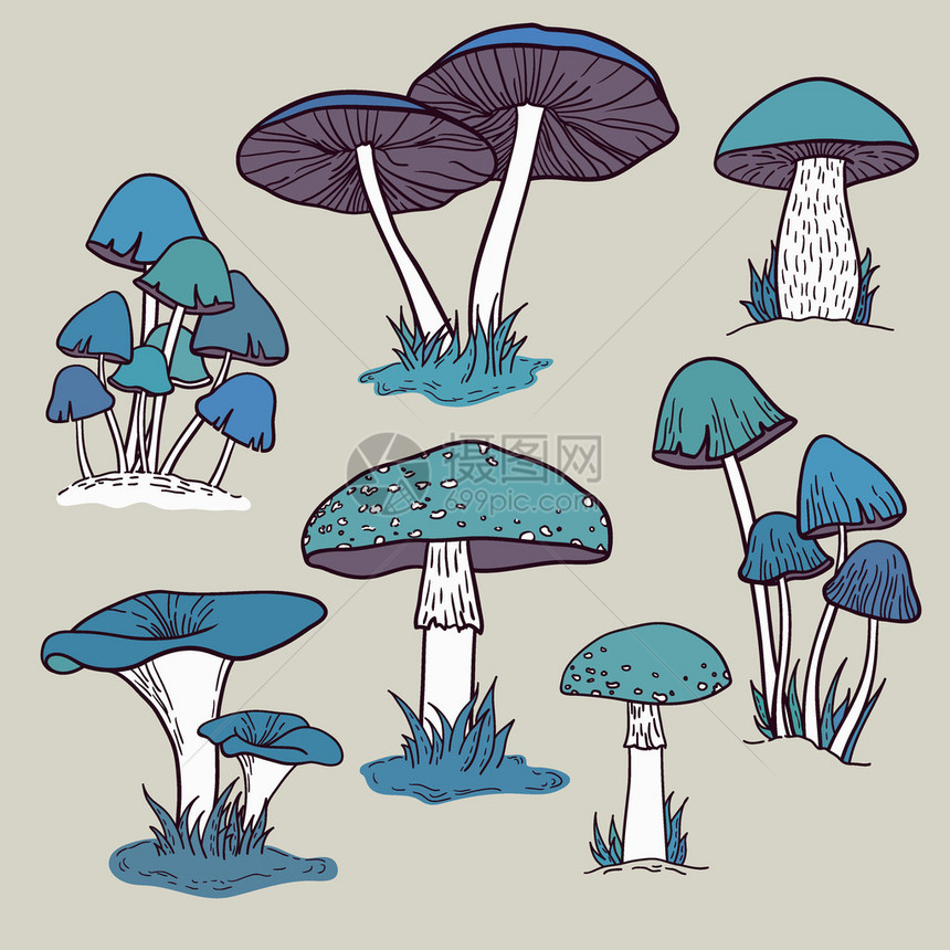 蓝色蘑菇背景图片