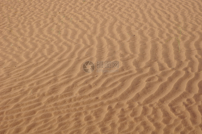 天的沙漠之沙图片