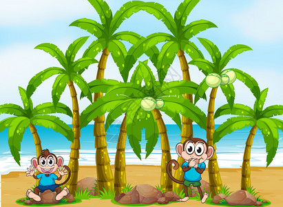 说明海滩上有高的椰子树图片