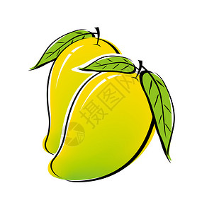 寒性水果白色背景上的芒果设计插画