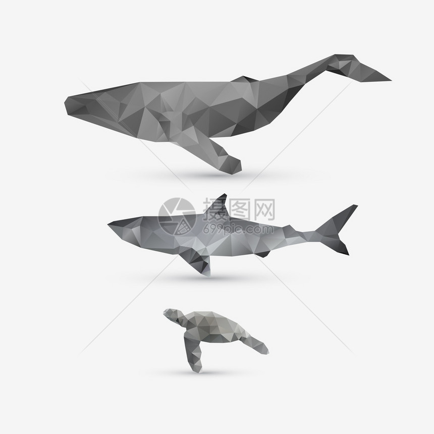 矢量抽象鲸鱼鲨鱼和乌龟插图集图片