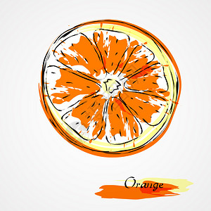 手绘的橙色矢量柑橘水果切片背景图片