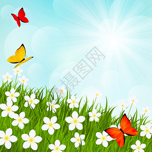 有花和蝴蝶的晴朗的草甸图片