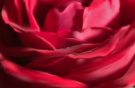 插图与深红色玫瑰花瓣背景背景图片