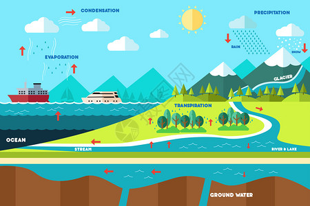 北海道阿寒湖水循环图解的矢量图解插画