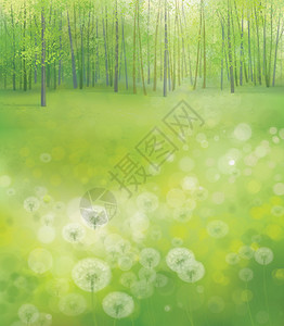 矢量森林绿色背景上的白色蒲公英图片