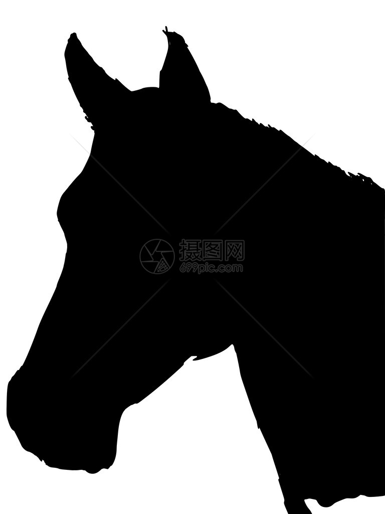 马的黑月亮图片